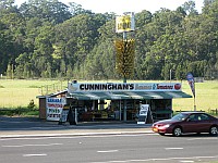 NSW - Coffs Harbour - Big Bunch of Bananas (4 Feb 2011)